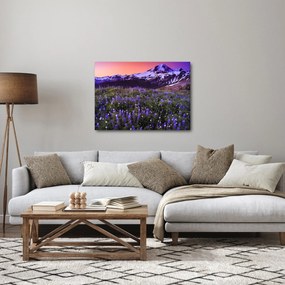 Obraz - Sopka a kvety (70x50 cm)