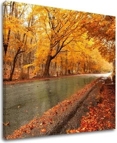 Obraz na stenu STROMY