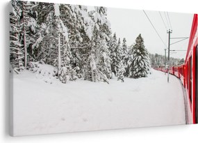 Obraz - Vlak v zasneženej krajine (90x60 cm)
