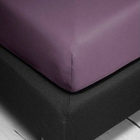 Bierbaum jersey plachta fialová - 180-200 x 200 cm