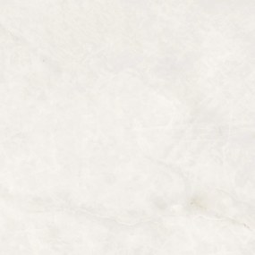 Dlažba Borgia White 60x60 R