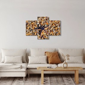 Obraz morskej hviezdice (90x60 cm)