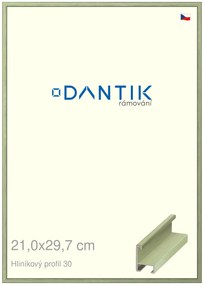 DANTIK rám na obraz 21x29,7 | ALU Dýha barevná zelená pastel (Sklo Čiré)