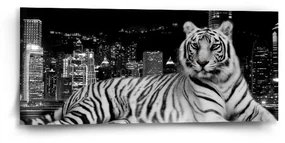Sablio Obraz Mestský tiger - 110x50 cm