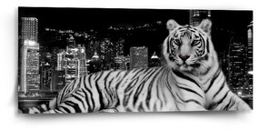 Sablio Obraz Mestský tiger - 110x50 cm