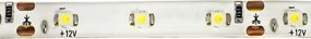 ECOLIGHT LED pásik - SMD 2835 - 5m - 60LED/m - 4,8 W/m - IP65 - studená biela
