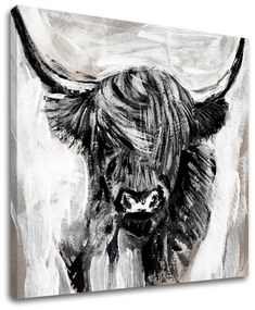 Obraz na plátne BÝK 001 60x60 cm