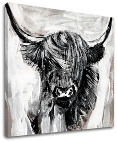 Obraz na plátne BÝK 001 60x60 cm