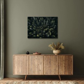 Obraz - Les (70x50 cm)