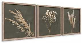 Obrazy v súprave 3 ks 30x30 cm Pampas – Styler
