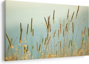 Obraz - Lúčny okamih (90x60 cm)