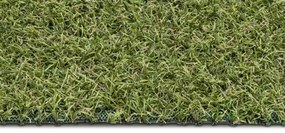Koberce Breno Umelá tráva PRADO, šíře role 200 cm, zelená