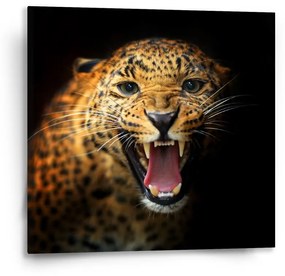 Sablio Obraz Gepard 2 - 50x50 cm