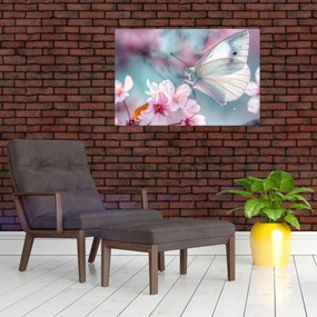 Obraz - Motýľ na čerešni (90x60 cm)