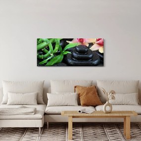 Obraz - Kamene a orchidey (120x50 cm)