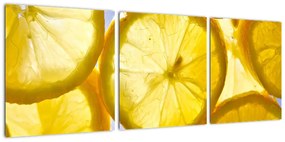 Plátky citrónov - obraz