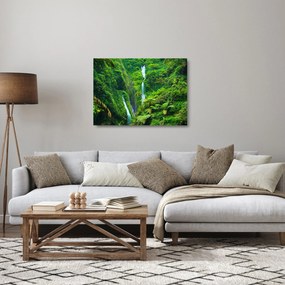 Sklenený obraz - Vodopády Madakaripura, východná Java, Indonézia (70x50 cm)