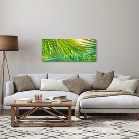 Obraz - Palmové listy (120x50 cm)