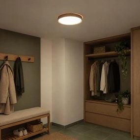 BRILAGI - LED stropné svietidlo NATURA LED/24W/230V 4000K pr. 38,3 cm
