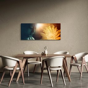 Obraz - Mier (120x50 cm)