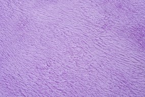 TA Koberec LILAC LILAC SILK Fialový Obdĺžnikový Rozmer: 80x150 cm