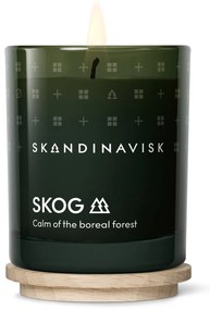 SKANDINAVISK Vonná sviečka v skle SKOG (les) 65 g