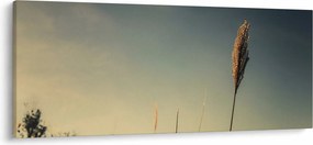 Obraz s trávou (120x50 cm)
