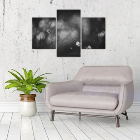 Obraz - Lúčna tráva (90x60 cm)