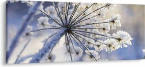 Obraz - Zamrznutý kvet (120x50 cm)