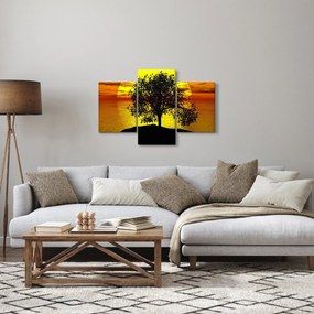 Obraz siluety stromu (90x60 cm)