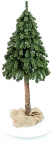 Vianočný stromček- Smrek prírodný na dreve 210 cm