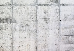 Fototapeta - Betónový múr 250x175 + zadarmo lepidlo