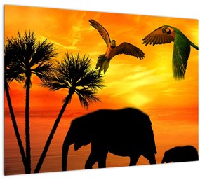 Sklenený obraz - papagáje a slony (70x50 cm)