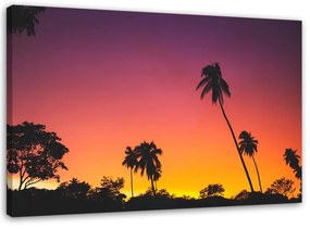 Obraz na plátně Palmy Západ slunce Moře - 100x70 cm