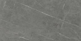 Dlažba Tessino Grey Natural 60x120 R