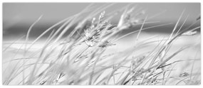 Obraz - Plážová tráva (120x50 cm)