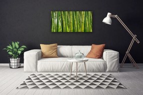 Obraz Canvas Bambusový les bambusové výhonky 120x60 cm