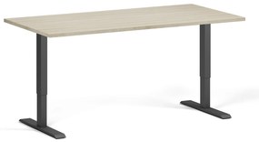 Výškovo nastaviteľný stôl, 160x80 cm, 1 motor, čierna podnož, dub prírodný