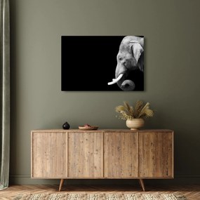 Obraz - Slon (90x60 cm)