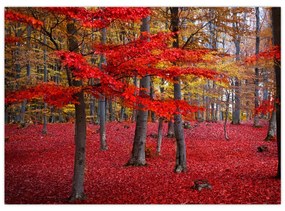 Sklenený obraz - Červený les (70x50 cm)