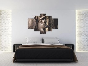 Obraz - Jeleň v lese (150x105 cm)