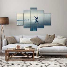 Obraz - Potáplica (150x105 cm)