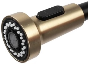 REA-B4821 - Drezová batéria s vysúvateľnou sprchou COLIN 42,5 cm, brúsené zlato