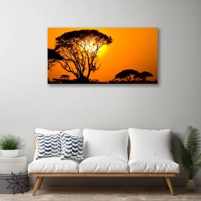 Obraz na plátne Strom slnko príroda 120x60 cm