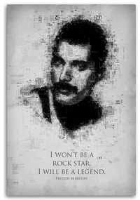 Gario Obraz na plátne Freddie Mercury - Gab Fernando Rozmery: 60 x 90 cm