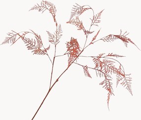 Ručne vyrobené rastlinné dekorácie Asparagus, 3 ks