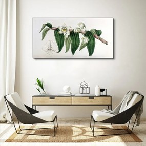 Obraz Canvas Kreslenie kvetinové konáre orchidey