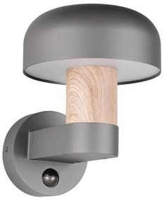 Nástenné vonkajšie svietidlo (výška 24,5 cm) Fraser – Trio