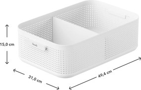 Rotho Úložný box do skrine, šatníkový organizér LISORA - L, 49,4 × 31 × 15 cm