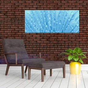 Obraz - Makro záber kvetu (120x50 cm)